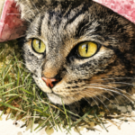 A local girl, "Princess" waits impatiently every morning to leave the house and go to work. Her human describes her as a workaholic but she's doing an important job.