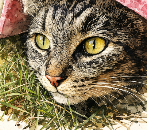 A local girl, "Princess" waits impatiently every morning to leave the house and go to work. Her human describes her as a workaholic but she's doing an important job.