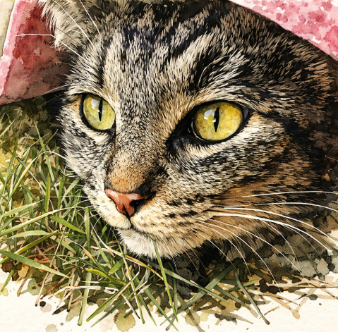 A local girl, "Princess" waits impatiently every morning to leave the house and go to work. Her human describes her as a workaholic but she's doing an important job.